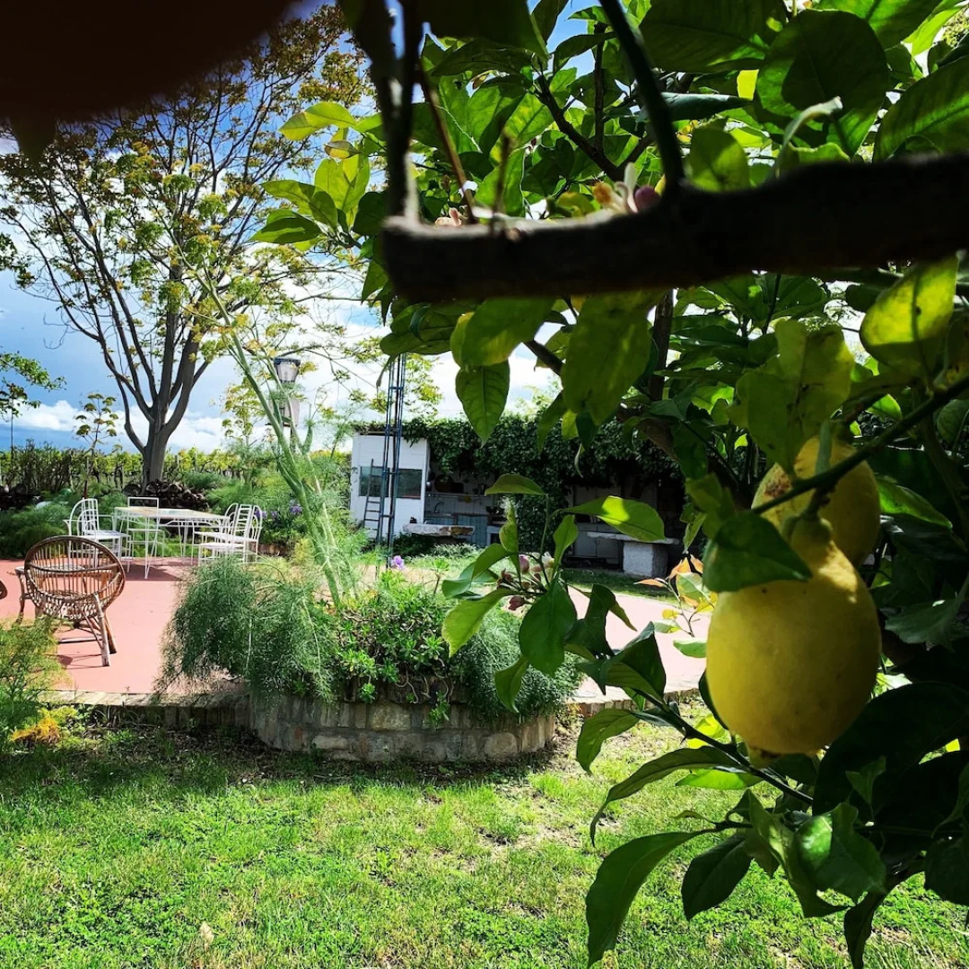 Casa Vacanze Fattoria Pozzitello