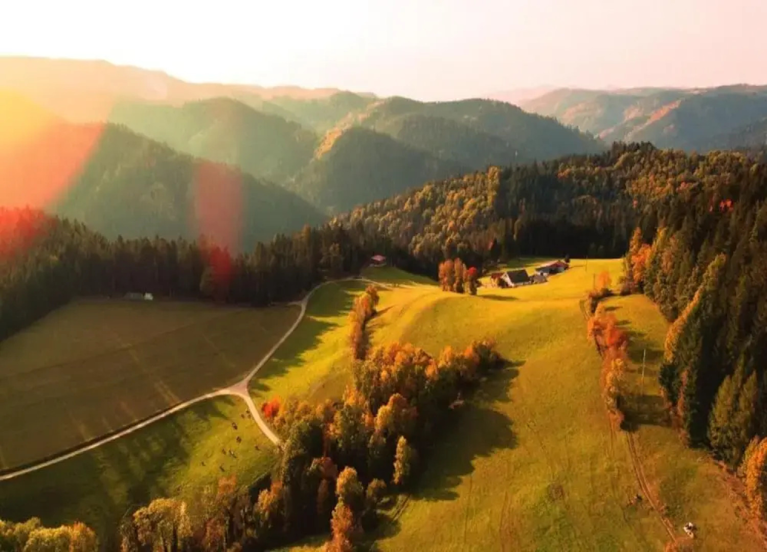 Cosy Farmhouse Apartment at the Edge of the Forest