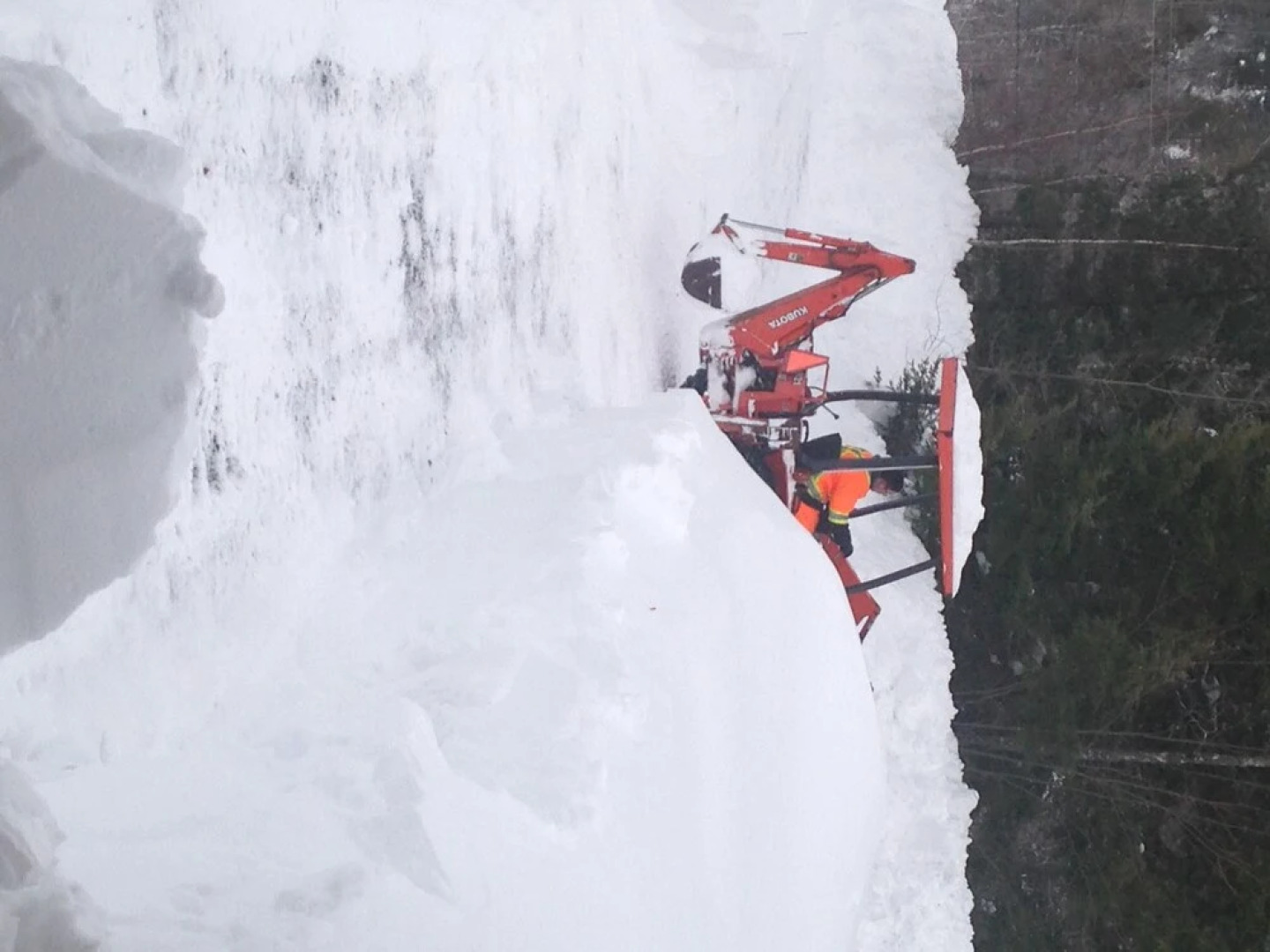 Snowflake Manor Bed & Breakfast