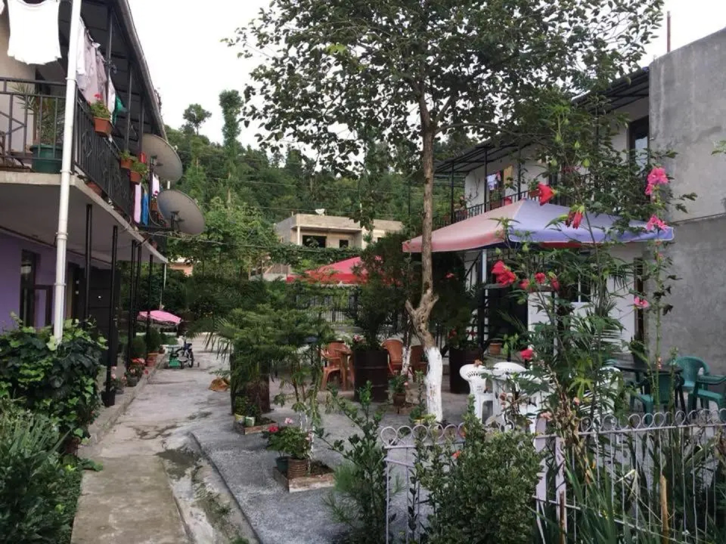 family hotel our house