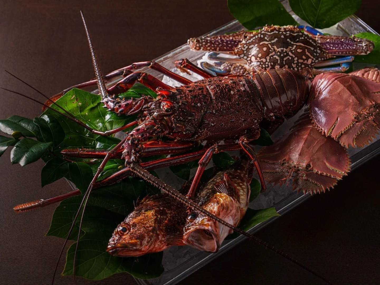 GOTO RETREAT by Onko Chishin