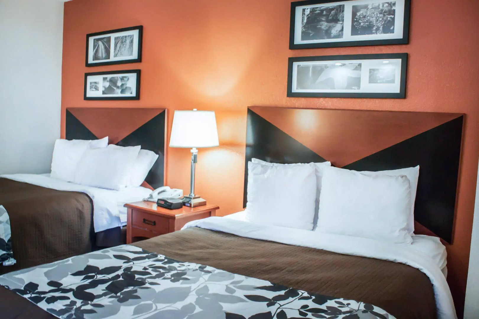 Sleep Inn Mt. Pleasant - Charleston