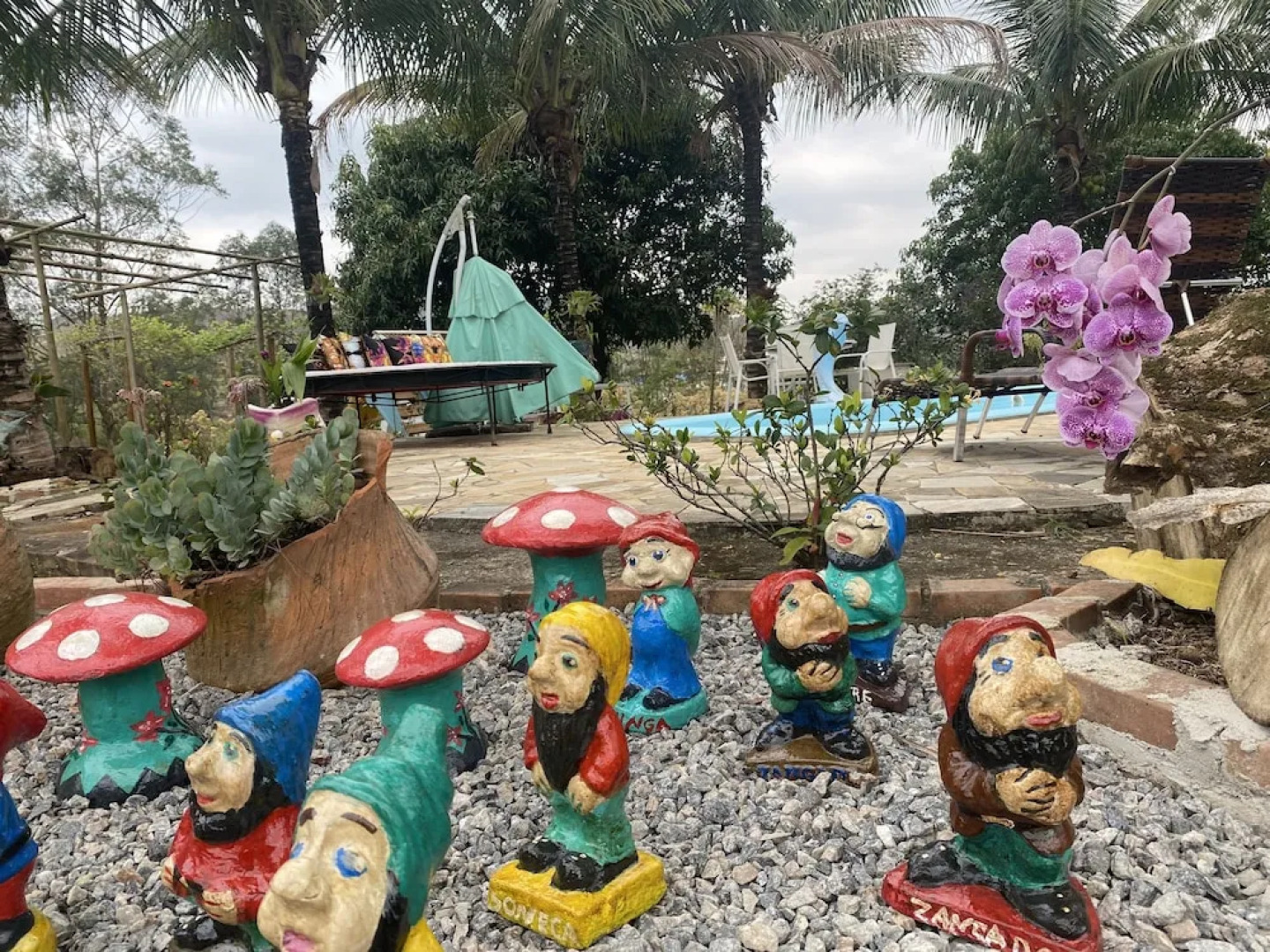 Recanto das Orquídeas Hospedagem.