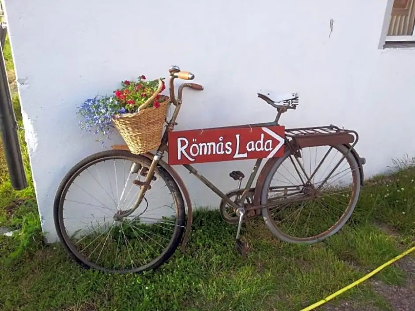Rönnås