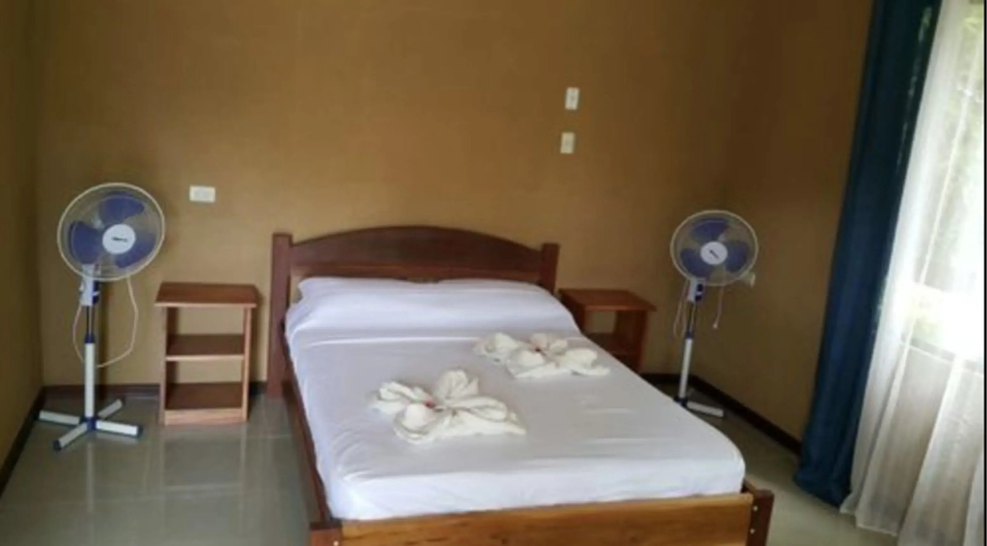 Jacamar Corcovado Drake Day