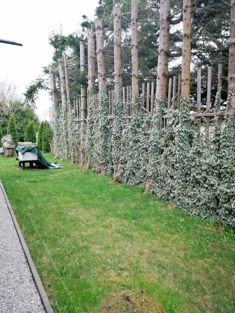 Ferienwohnung  125m2 EG und 1. Stock