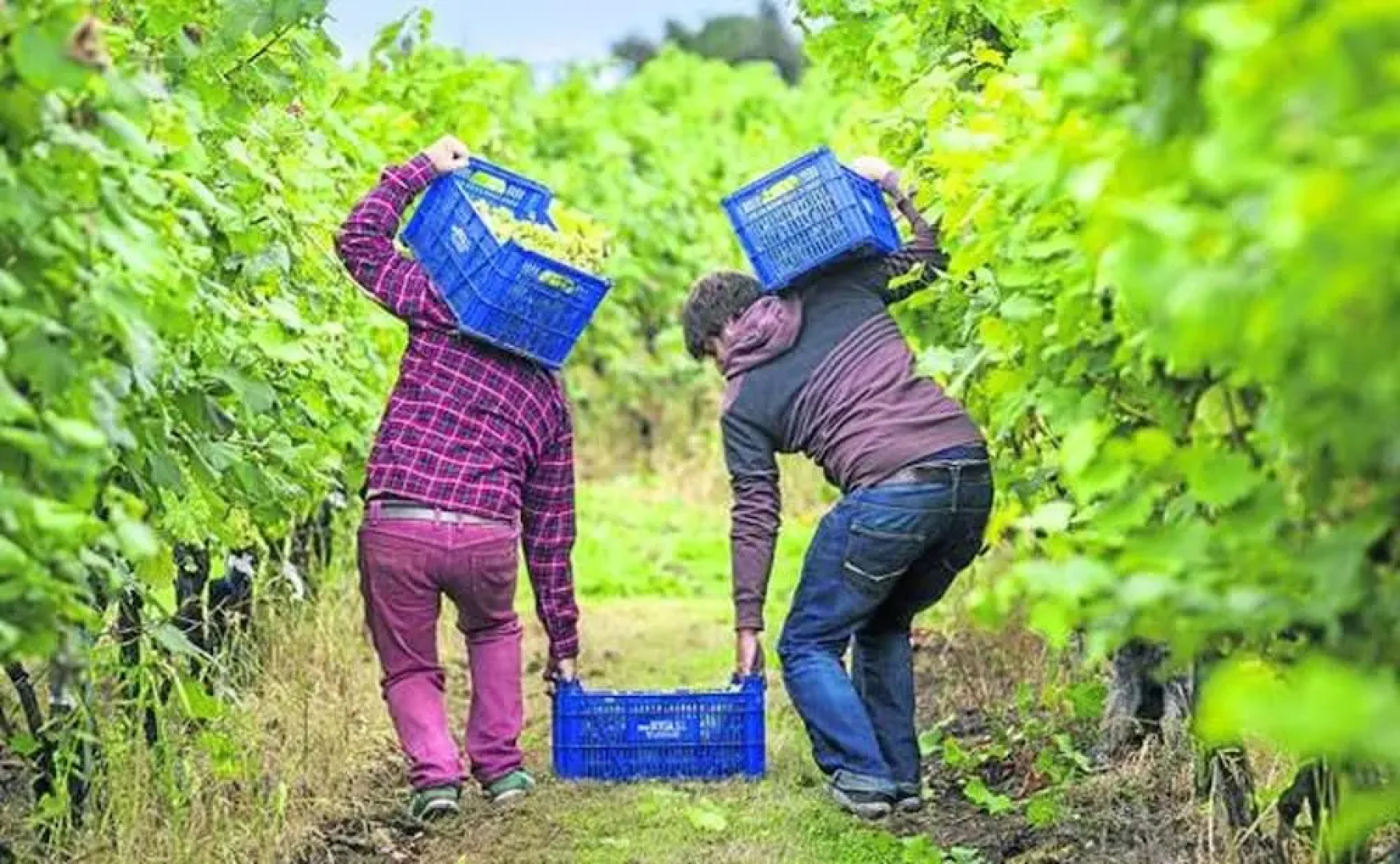 House With 5 Bedrooms in Baños de Valdearados, With Wonderful City View and Terrace