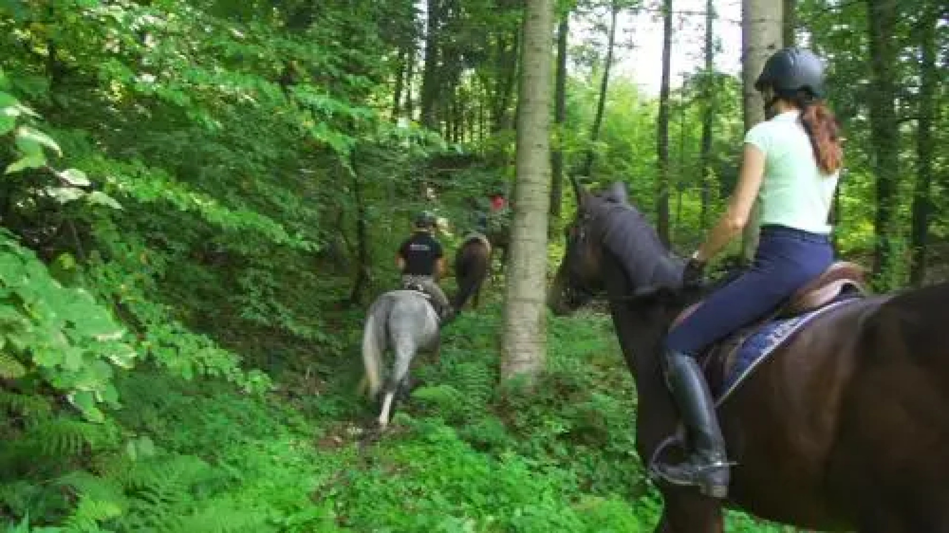 Dwór Maria Antonina