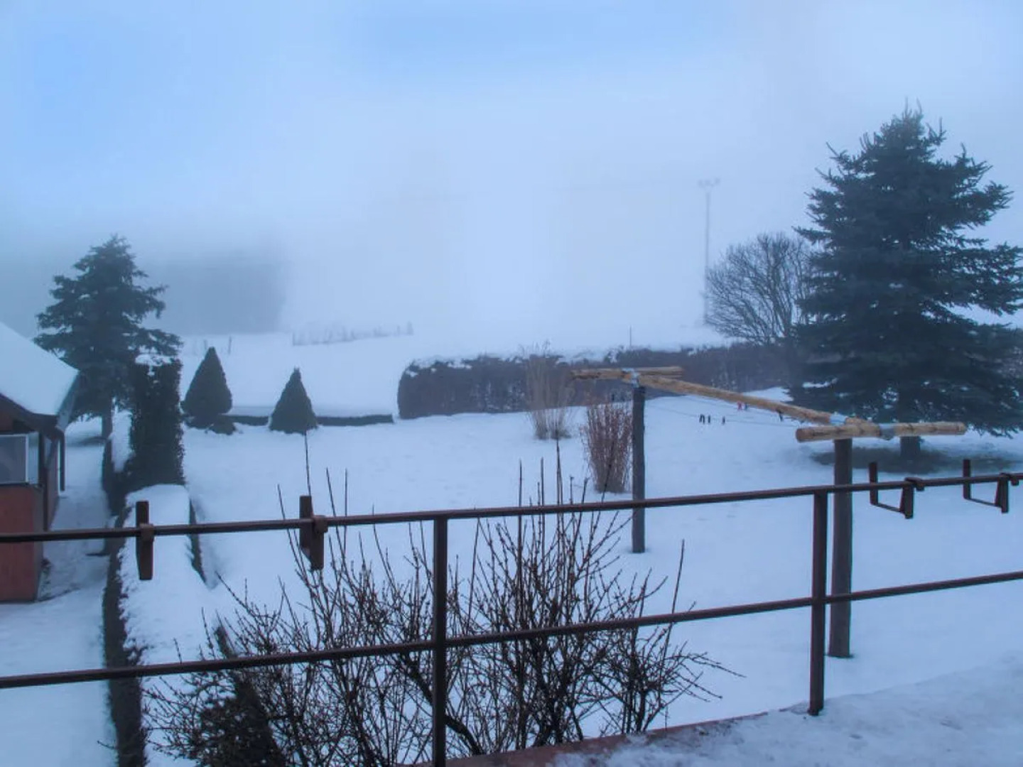 Rokytnice v Orlických horách