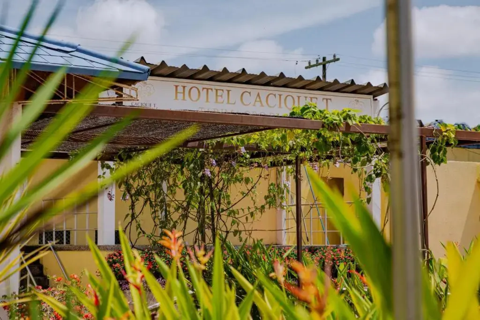 Cacique T