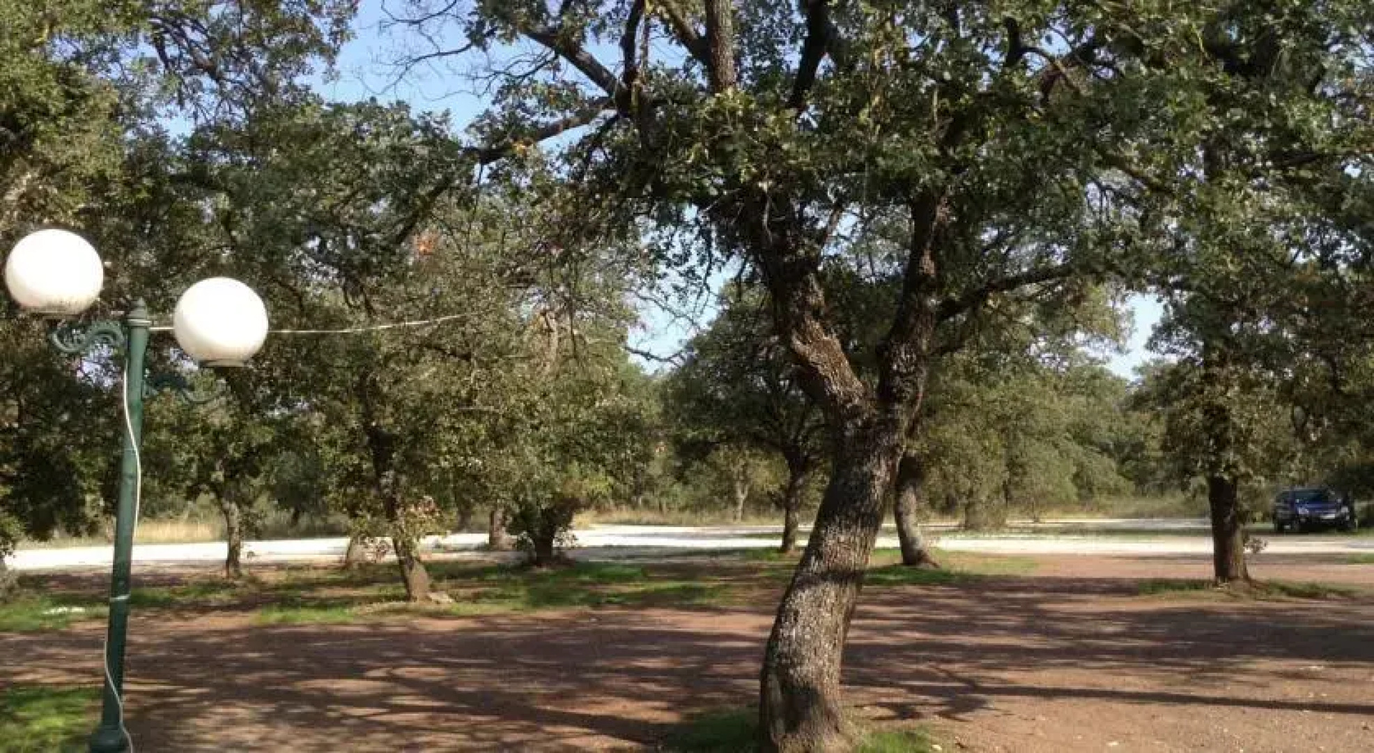 Arhontiko in Kouri Forest