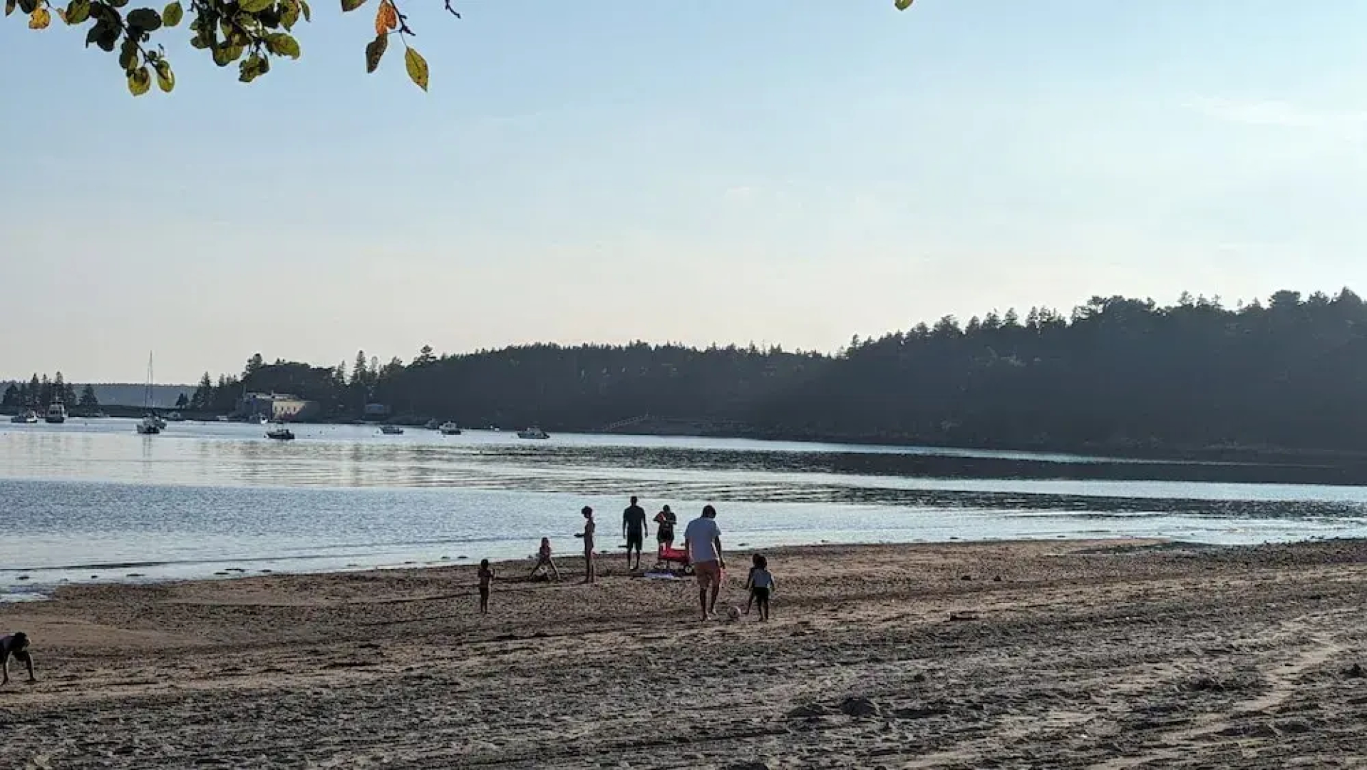 Woodland Apartments-Acadia National Park