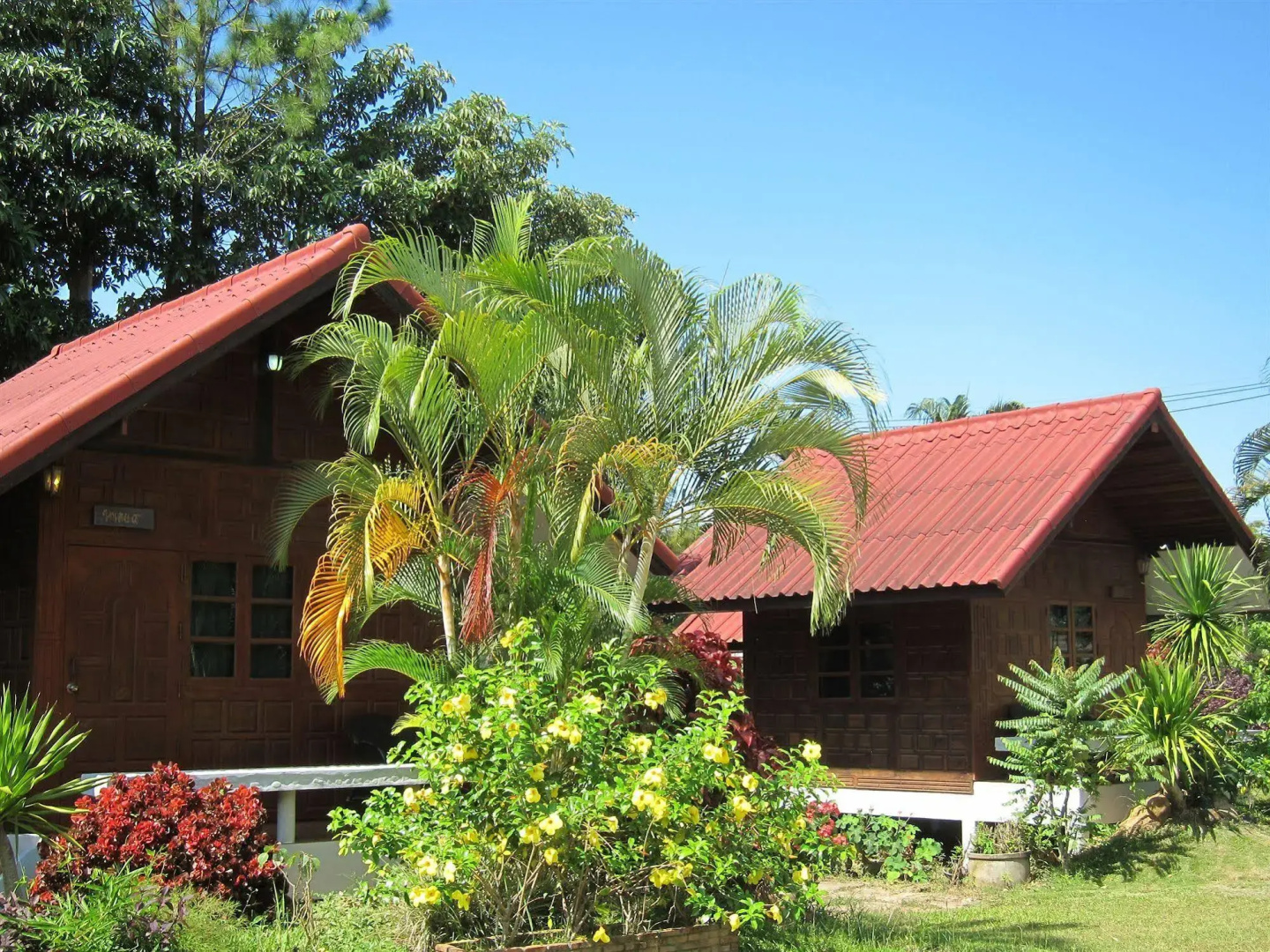 Thai Loei 300 Pi Resort