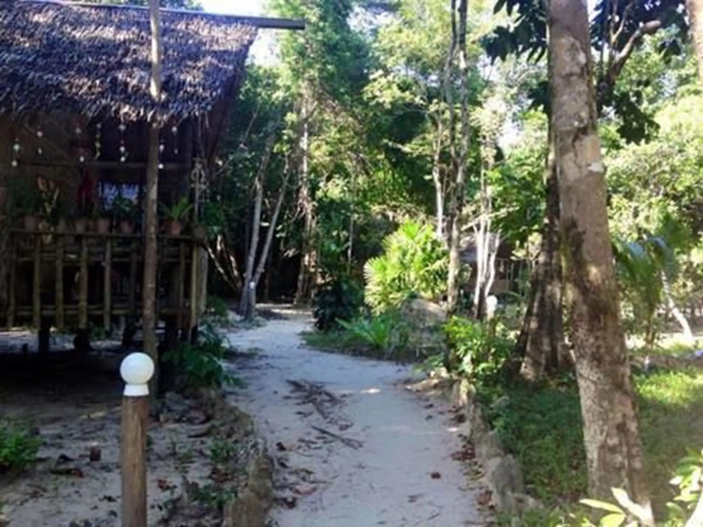 Tree House Bungalows Resort