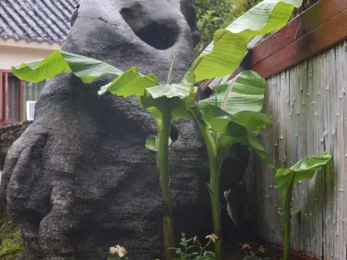 Zhangjiajie Fu Xi Er Yi ·LiFe Qingshe Design Meisu