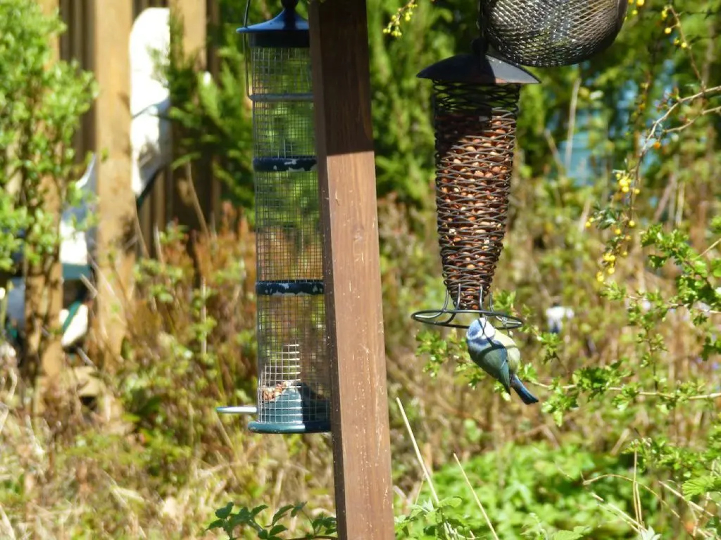 The Head At Middleton