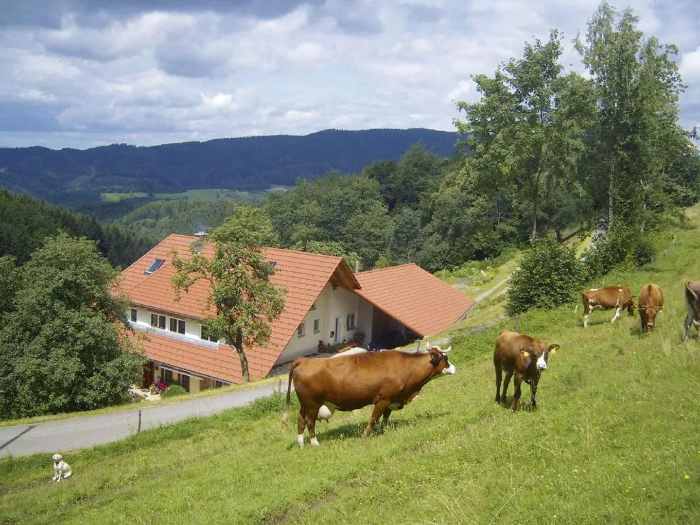 Langenberghof