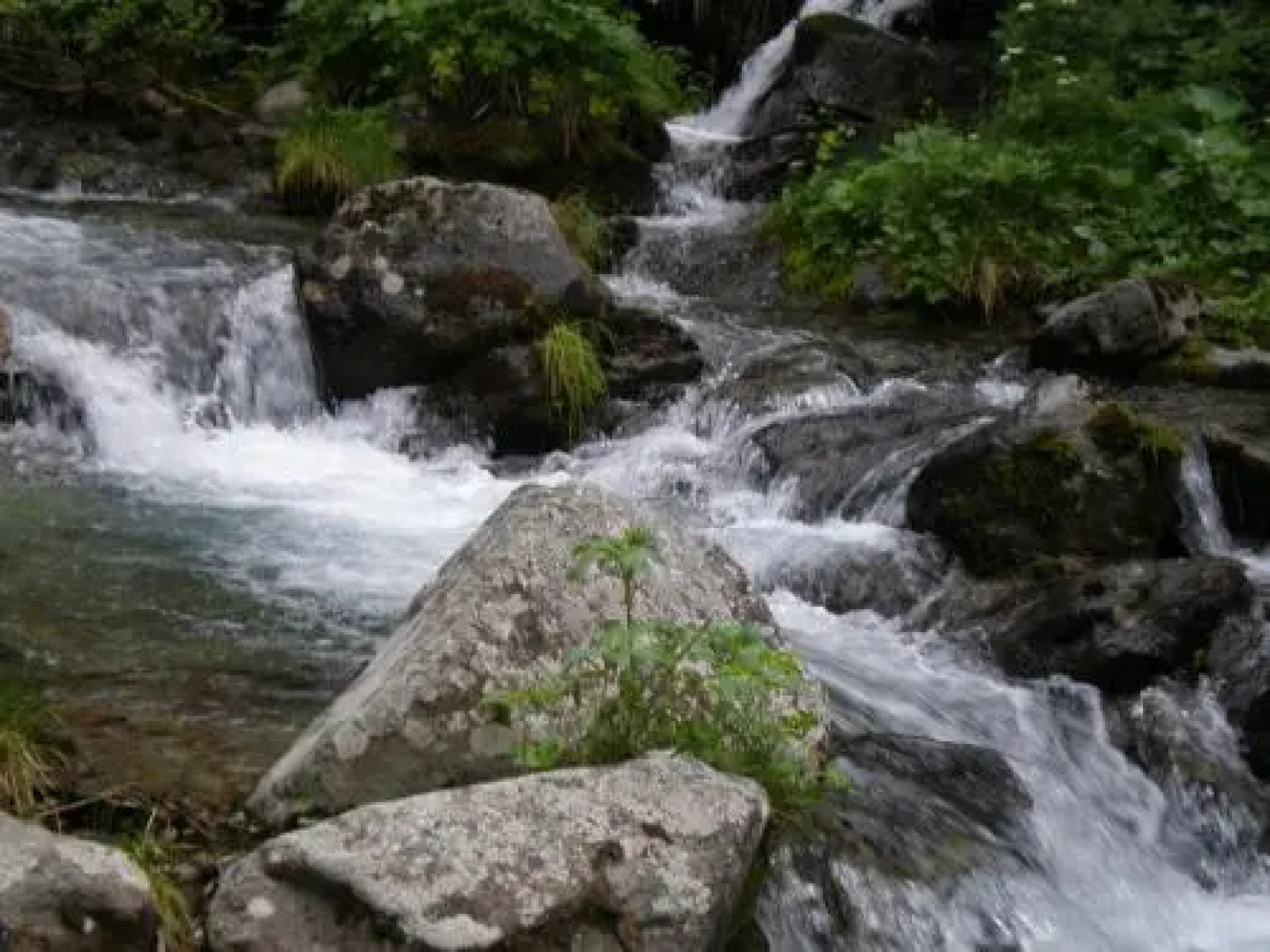 Garni-Hotel Wiesenhof