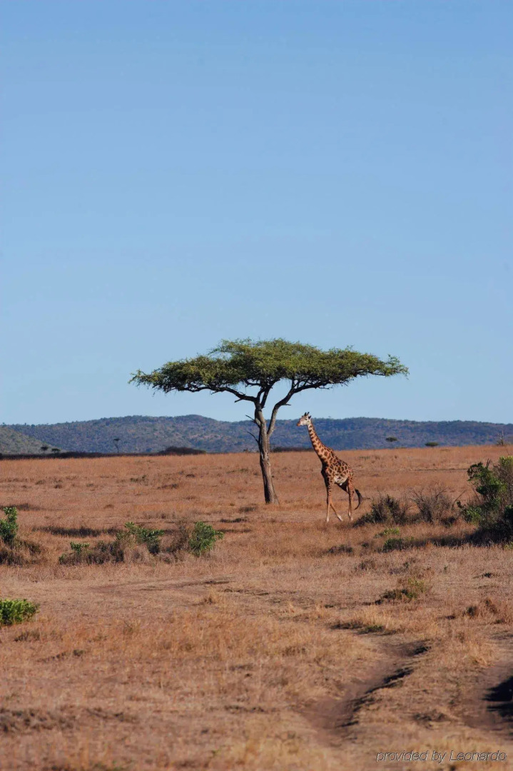 Fairmont Mara Safari Club