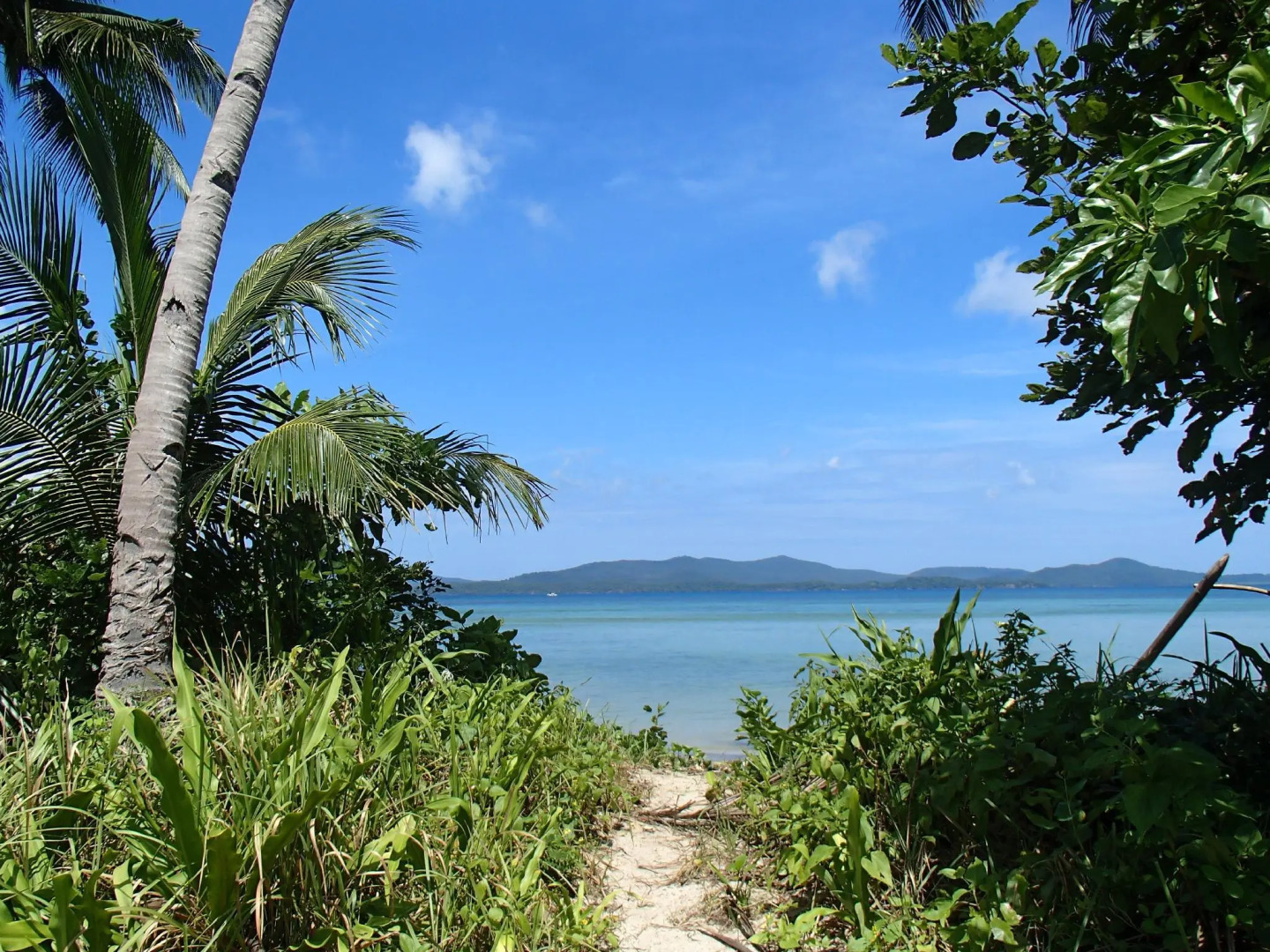 Atremaru Jungle Retreat