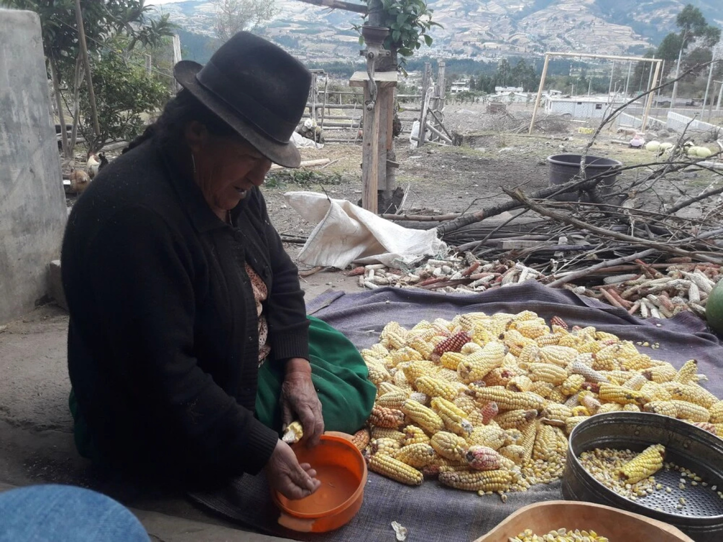 Green House Araque Inn.