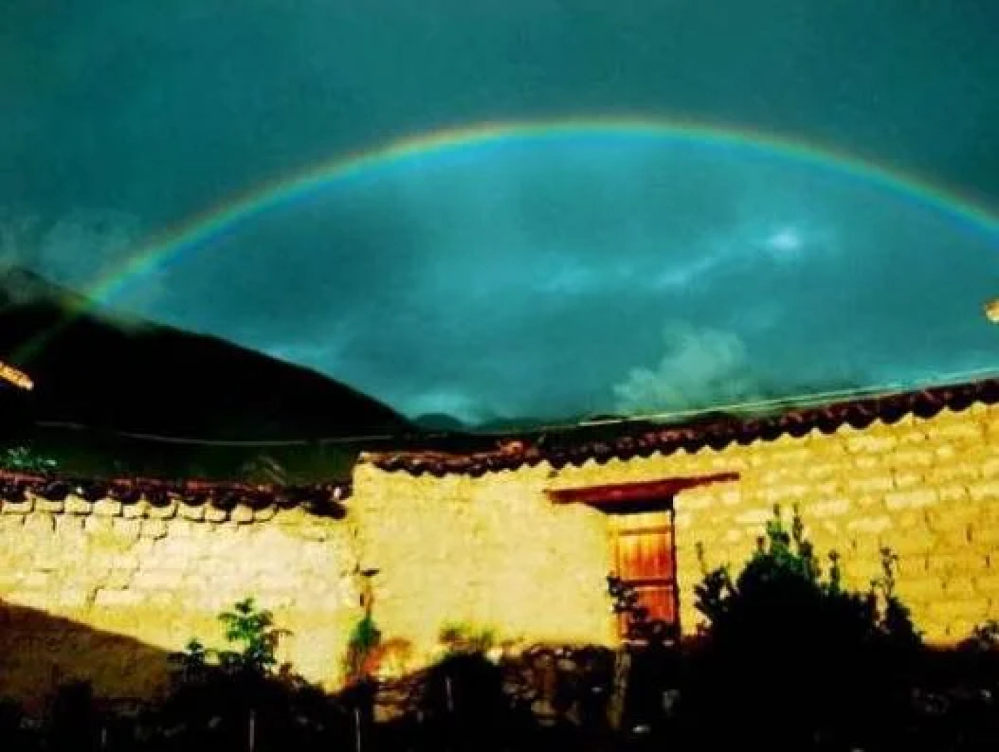 Llama Pack Backpacker