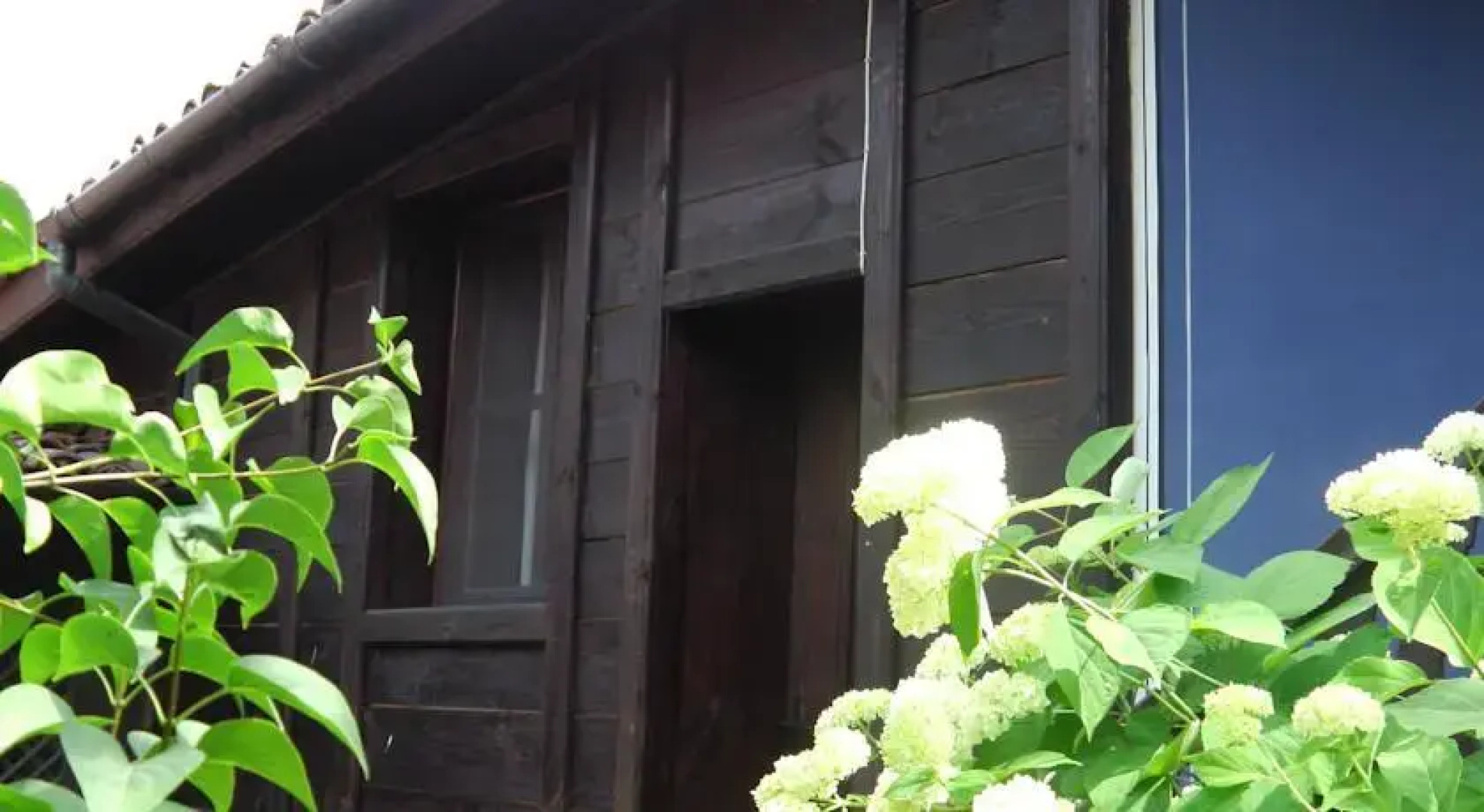 Darina Bed & Breakfast