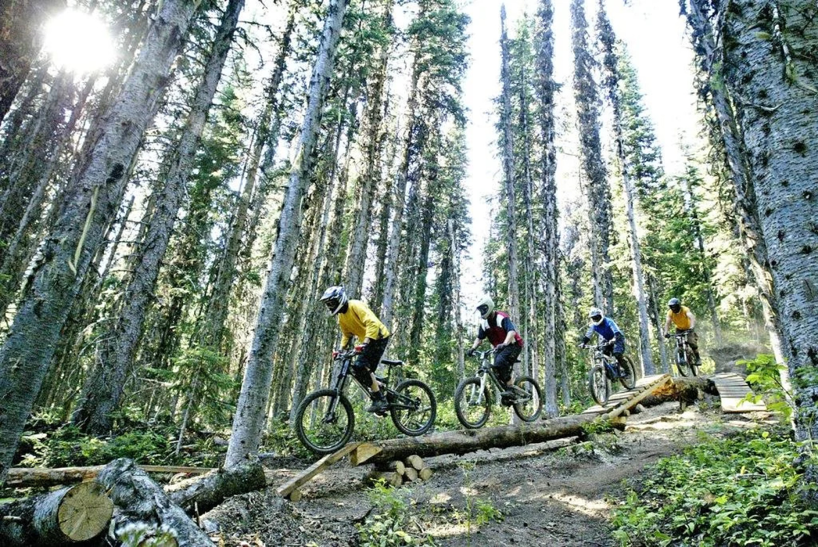 The Pinnacles Suite Hotel