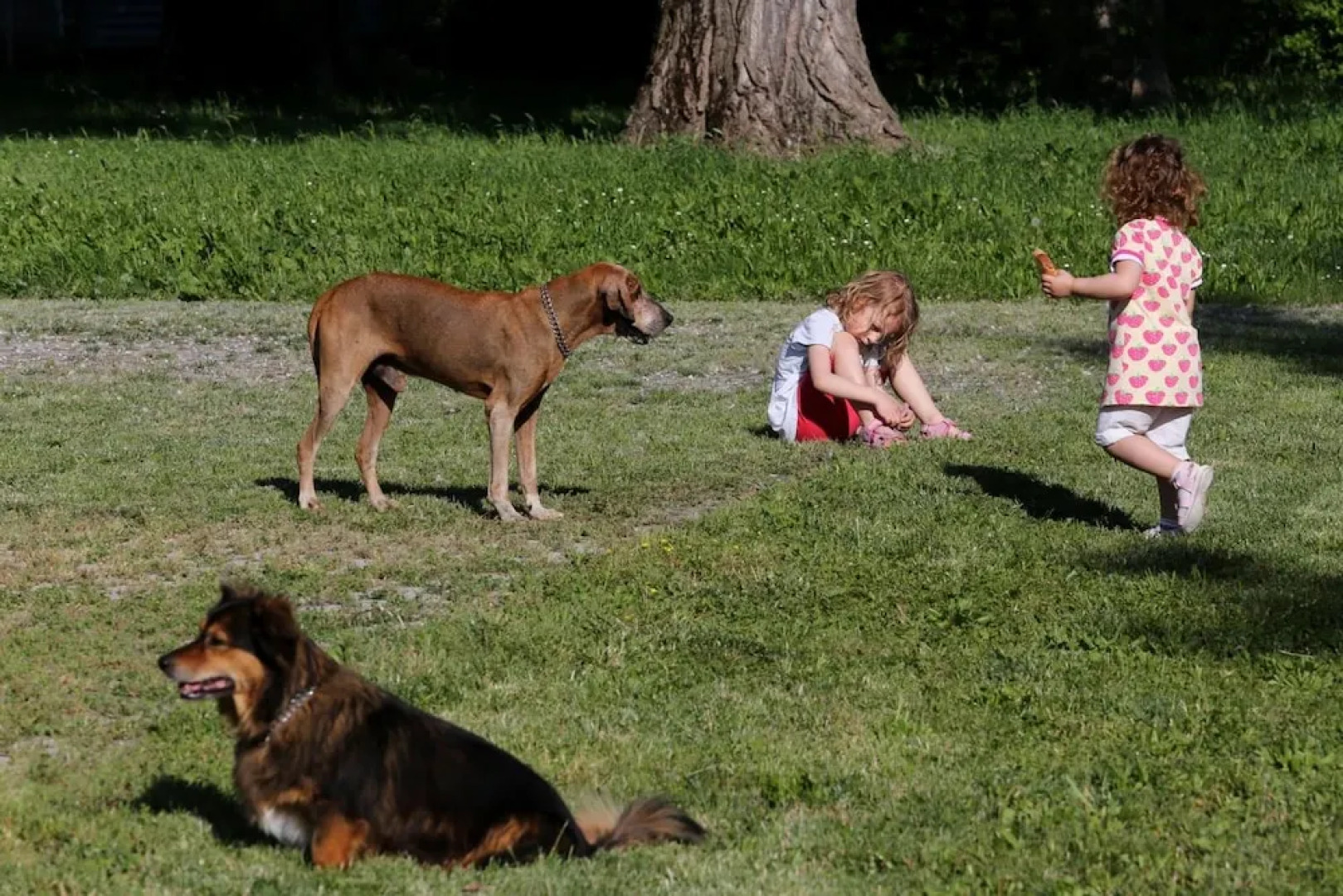 Locanda Antico Fighèr