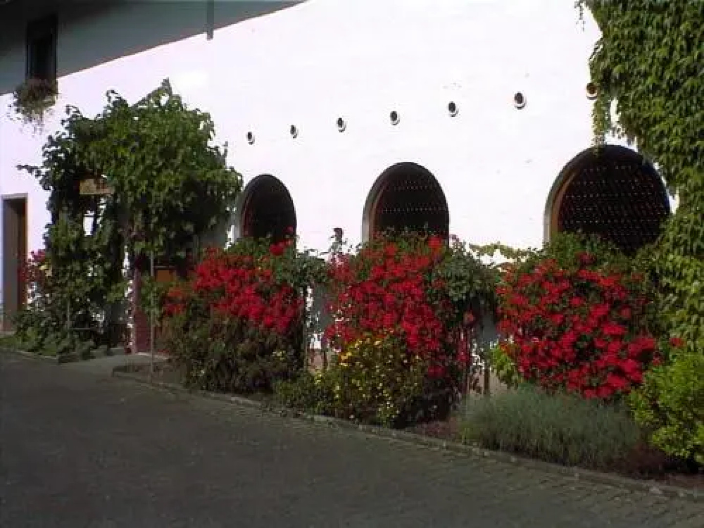 Weingut Arnold Pauly