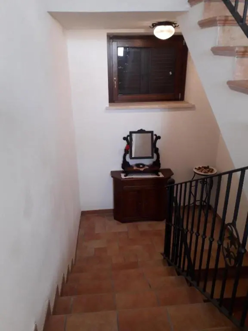 Sulla Strada Di San Francesco