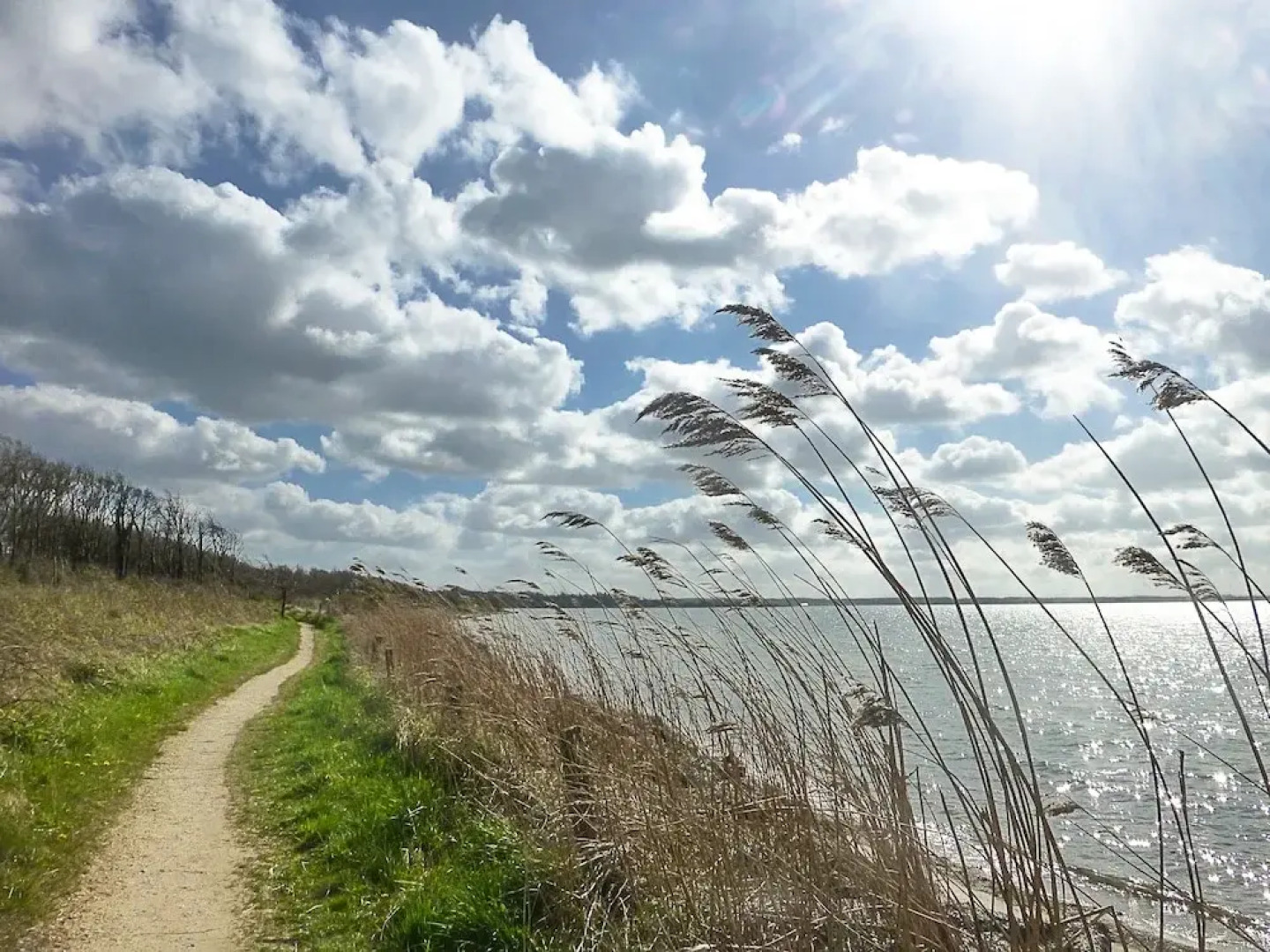 Terrassenwohnung direkt am Ostseestrand