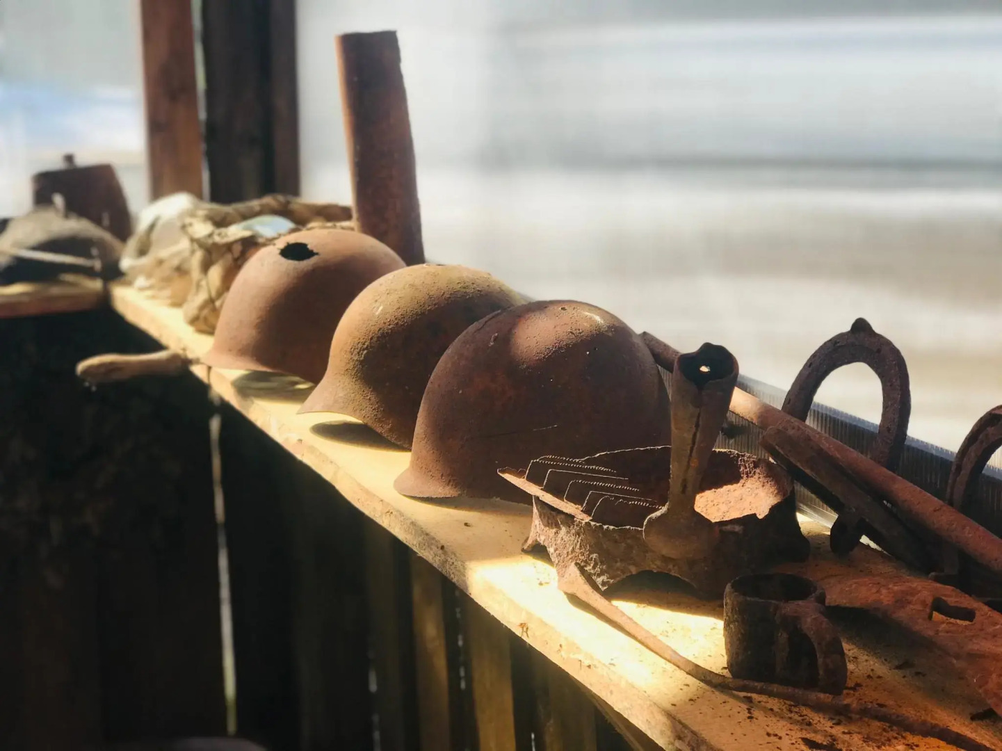 Медвежья лапа