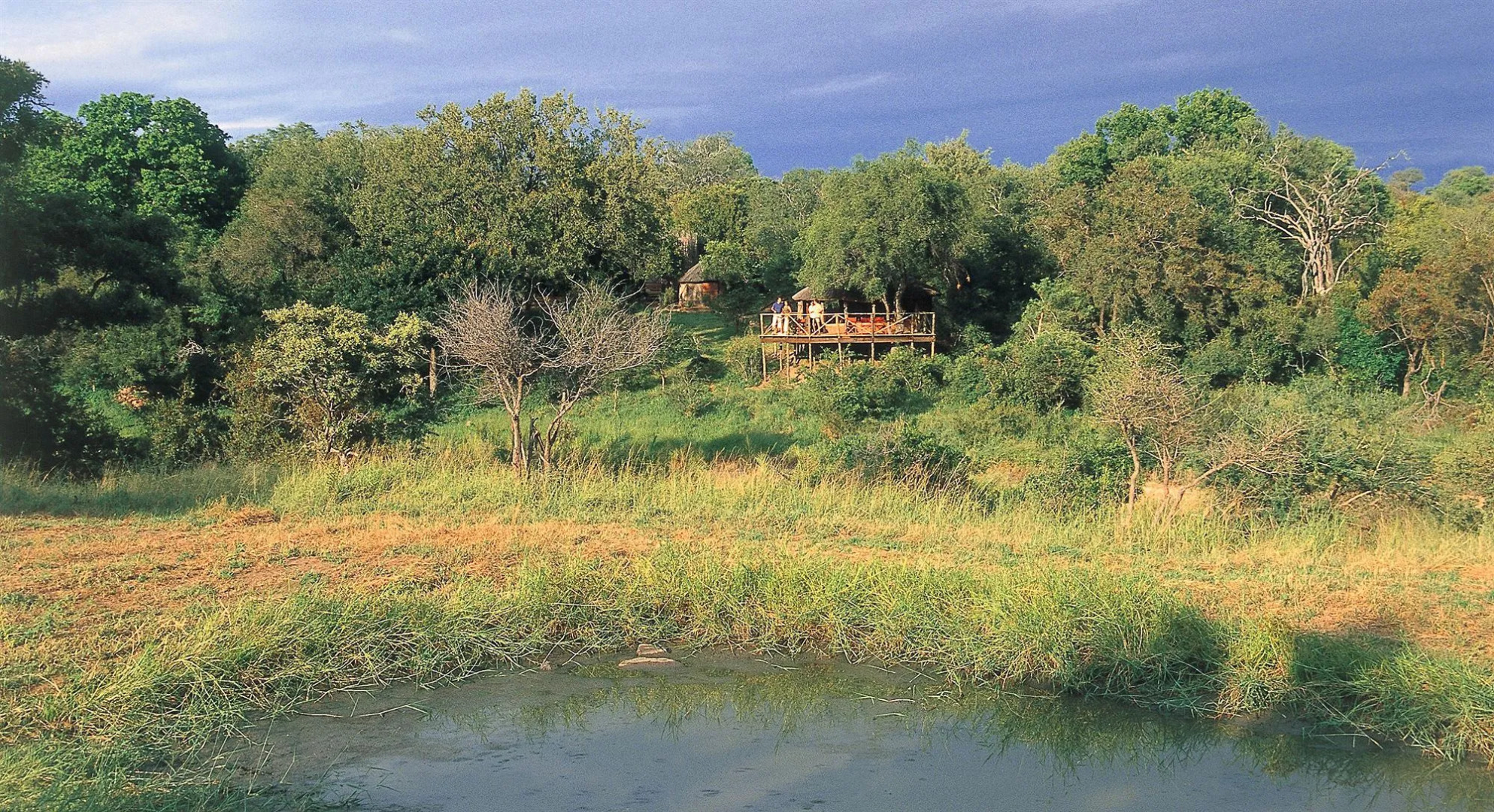 Umlani Bushcamp - Lodge