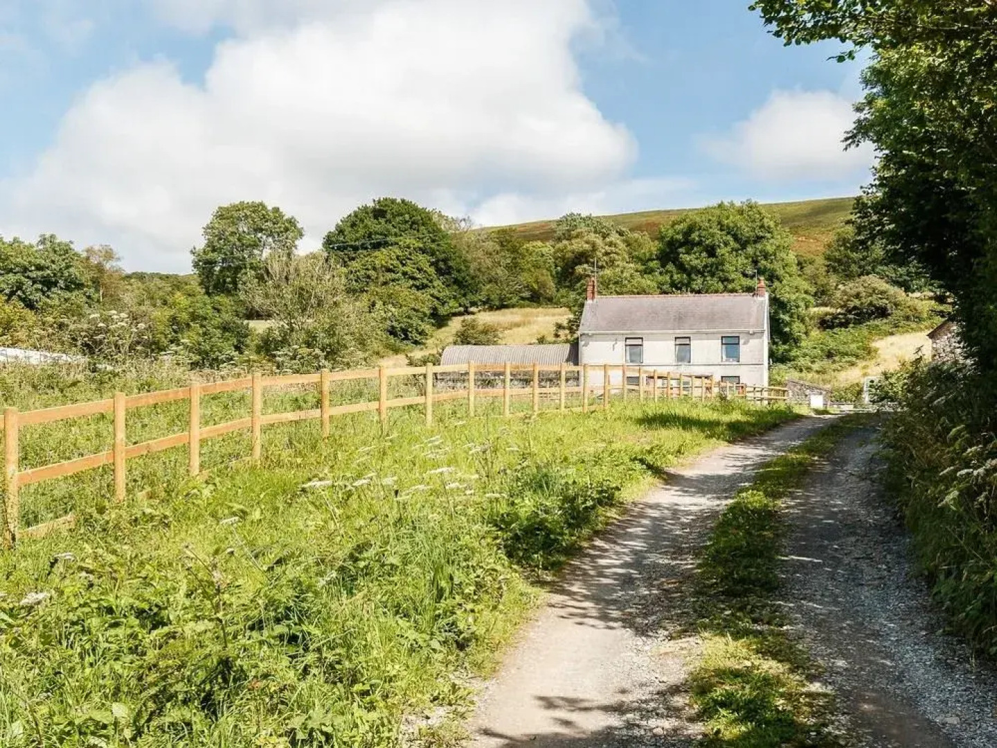 The Black Mountain Company