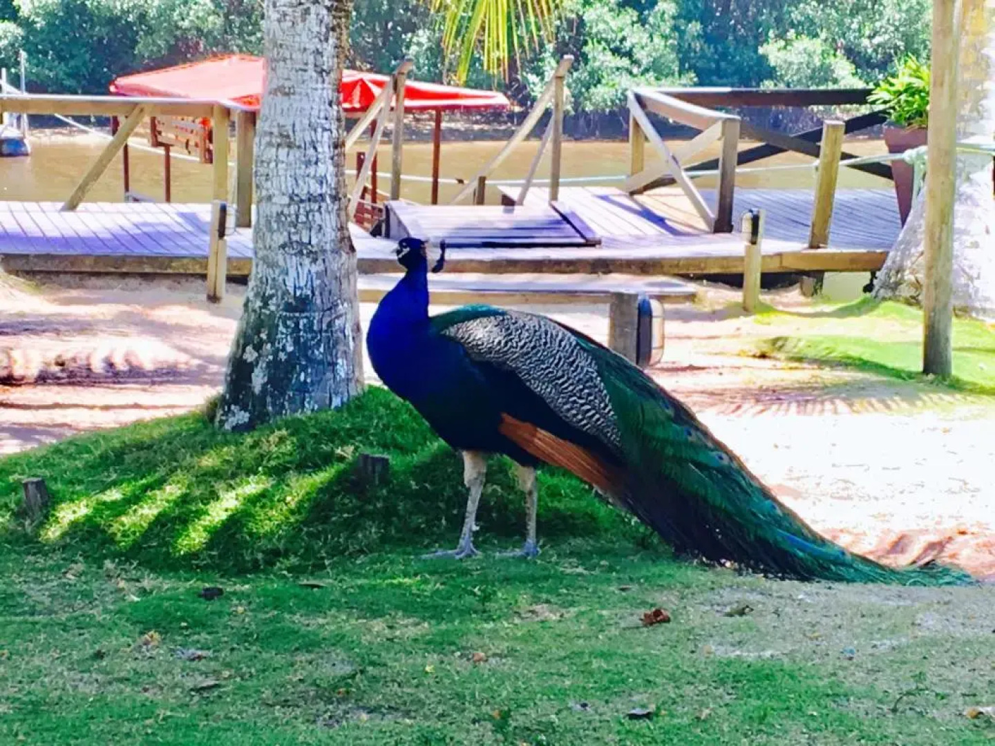 Pousada Ilha Do Desejo