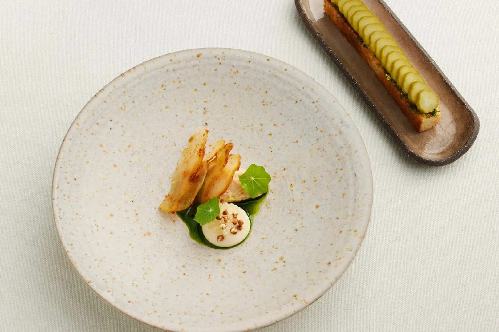 Tomtom Suites - Special Class