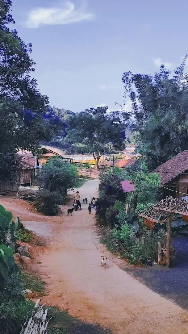 To Chim Ri Homestay Mang Đen