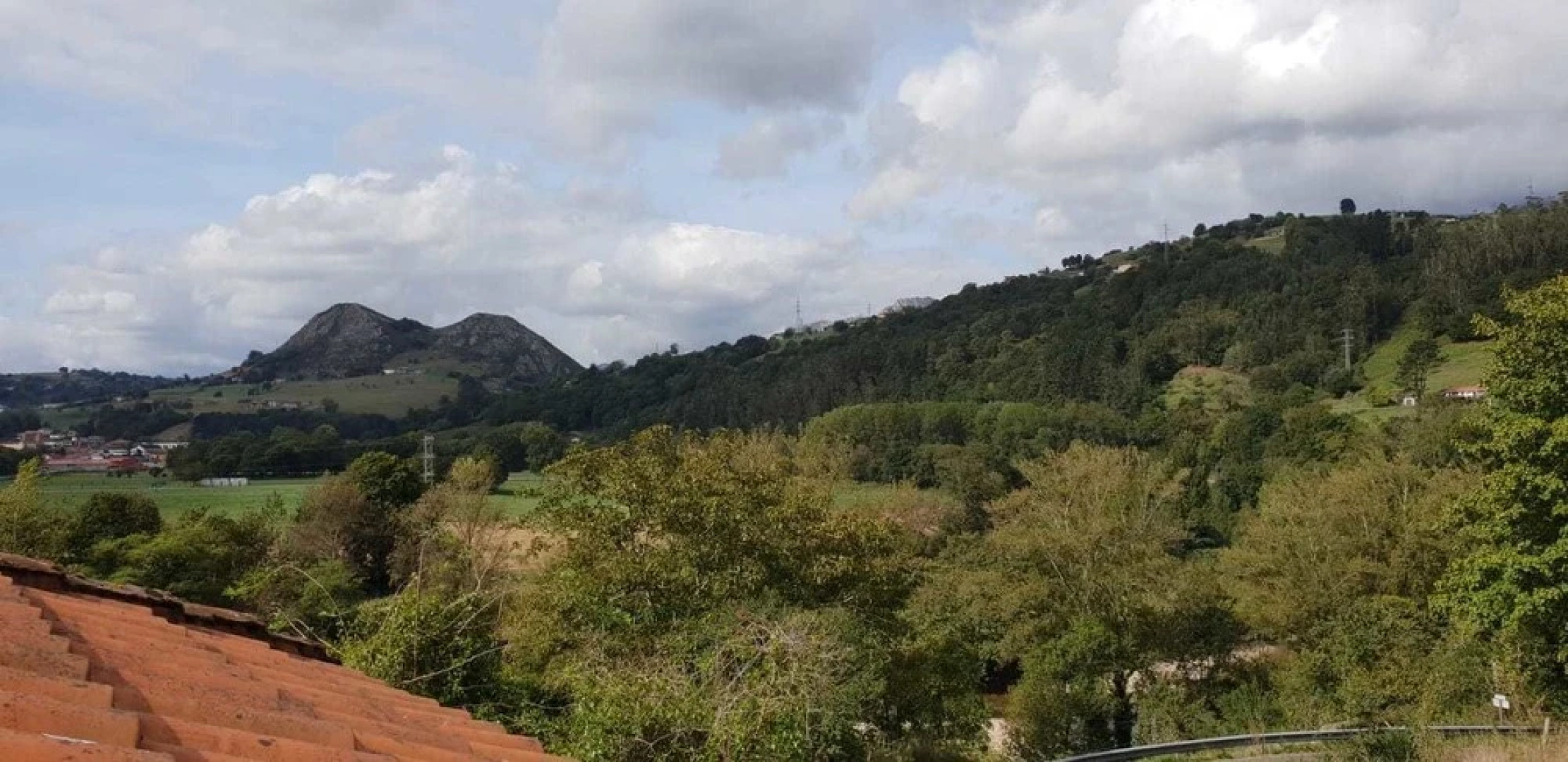 El Búho de la Remolina