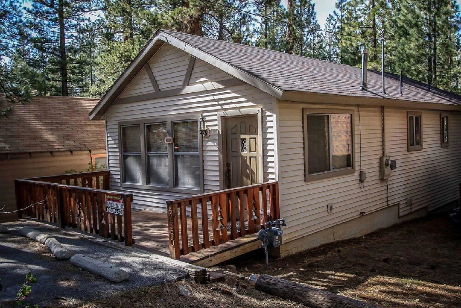 Cedar Pines 1529 by RedAwning