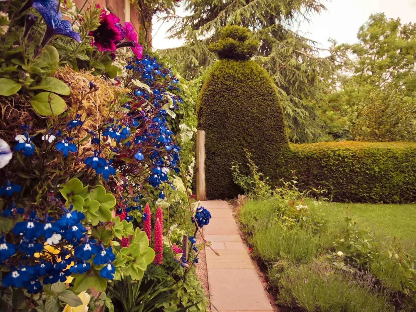 Yew Tree House B & B