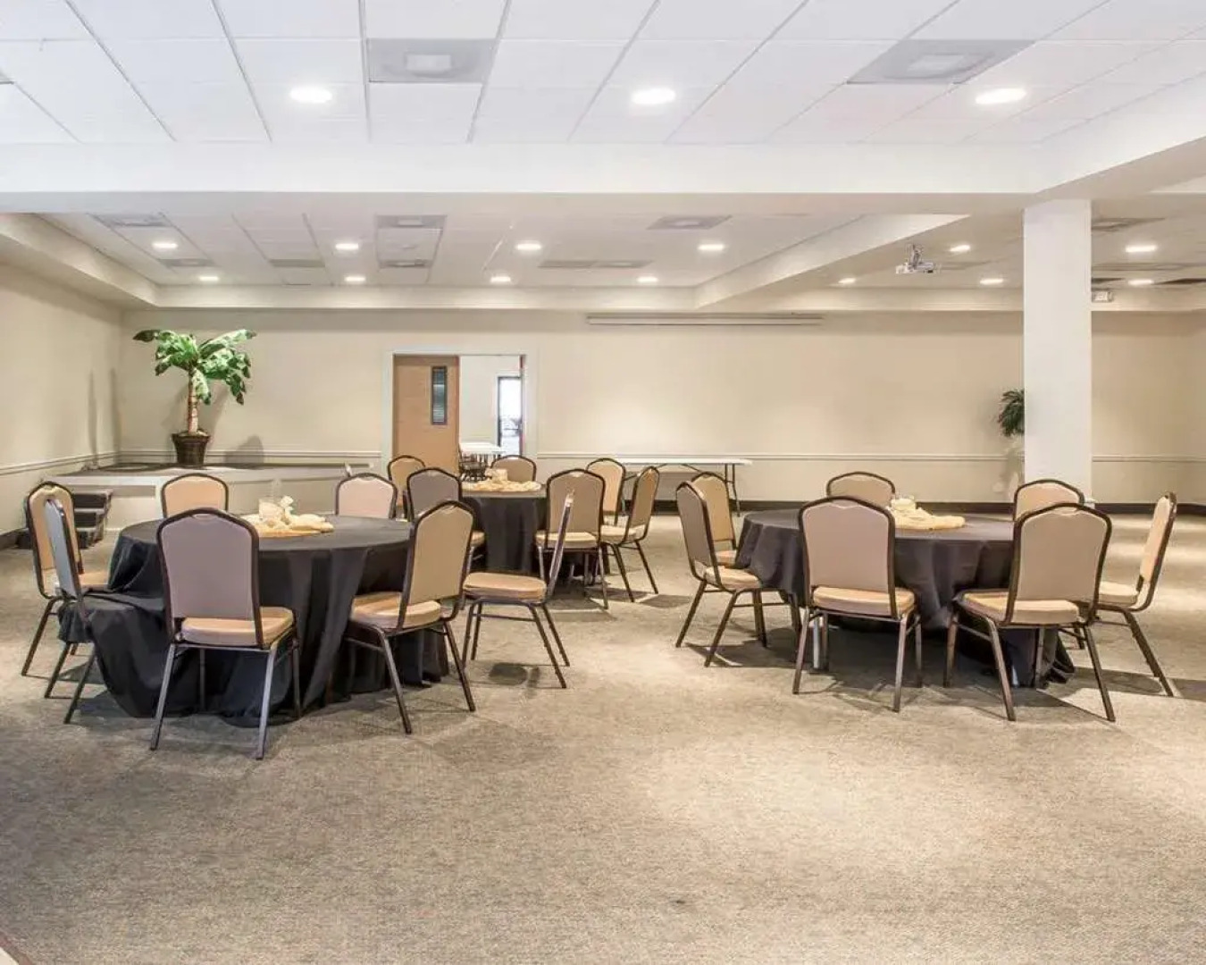 Garner Hotel Panama City Beach Northeast by IHG