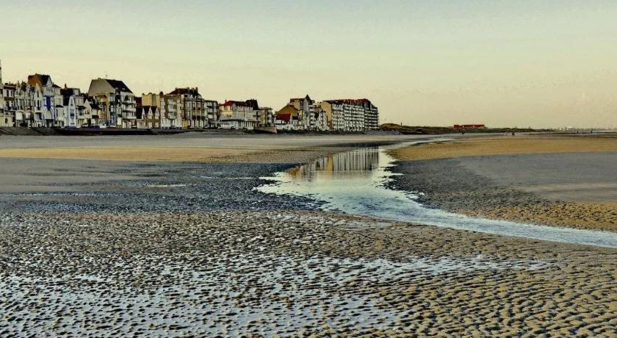 Evancy Bray-Dunes Etoile de mer