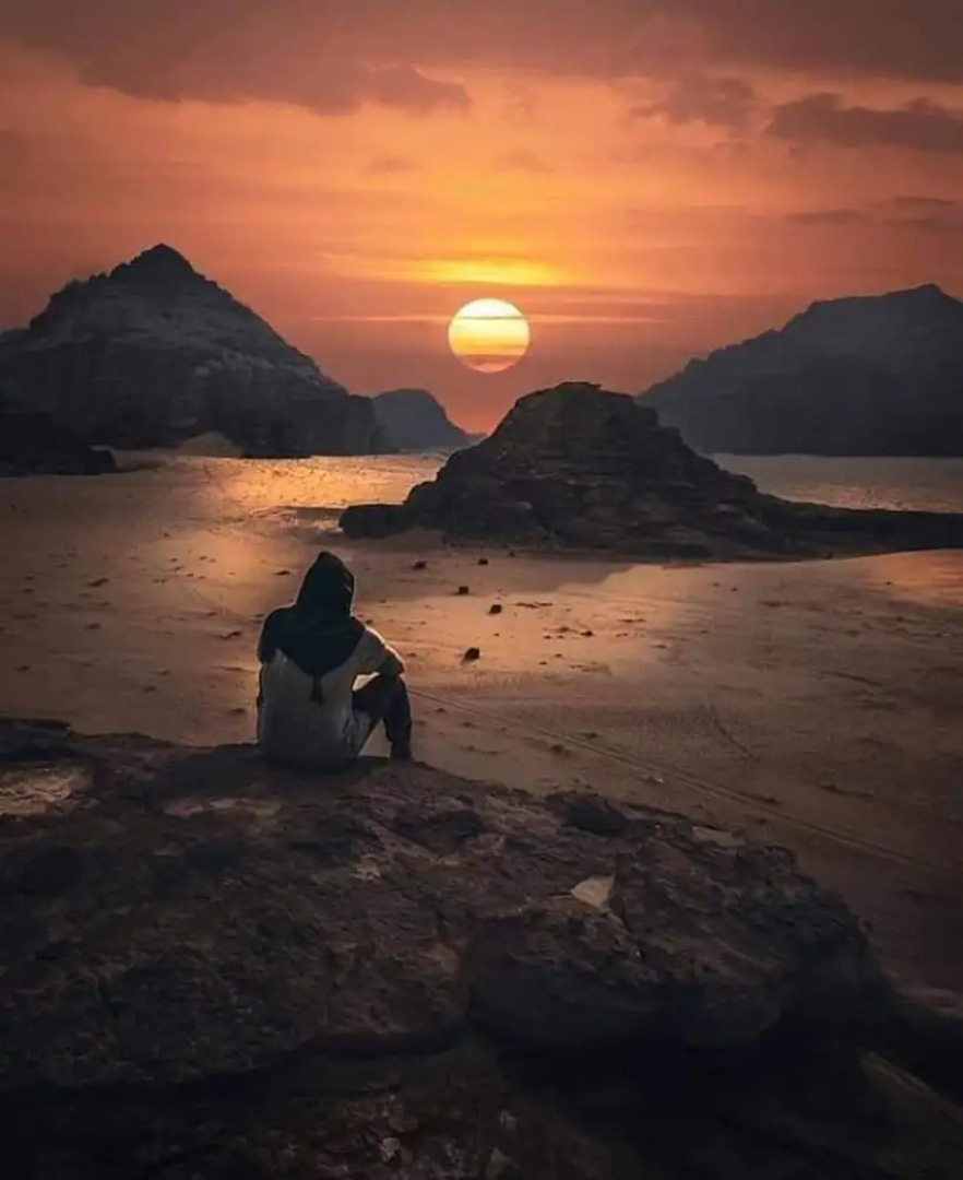 Bedouin habits tours camp