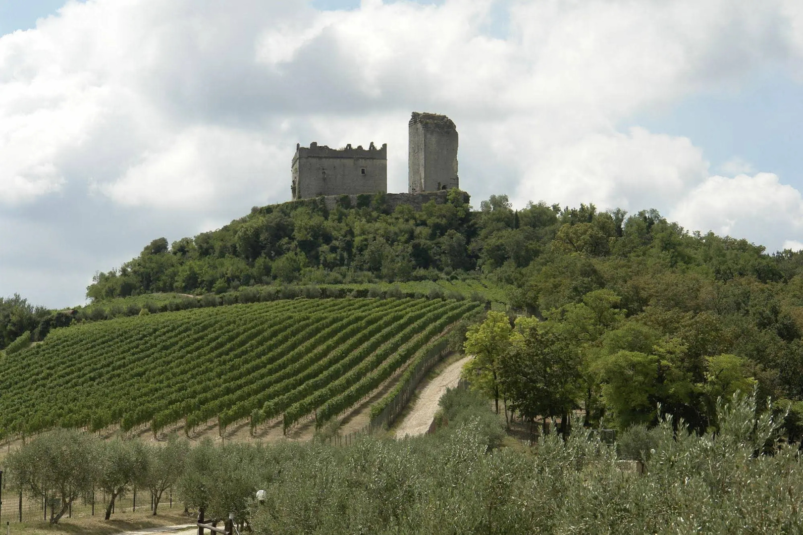 Sporting Hotel San Felice