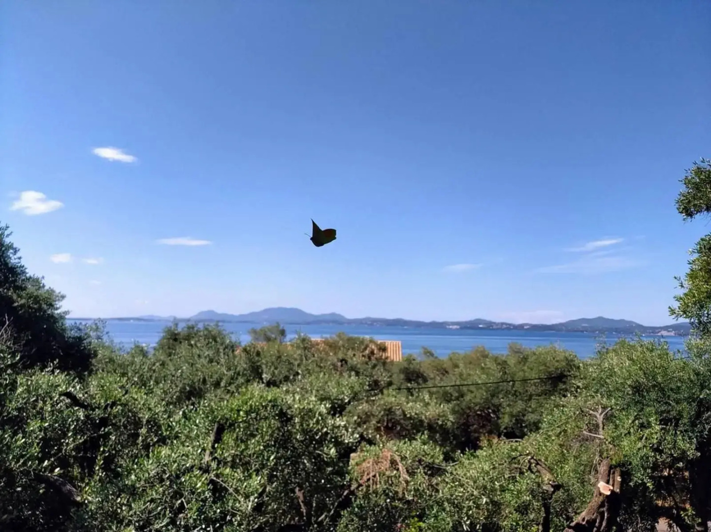 Villa Stefanos apartments