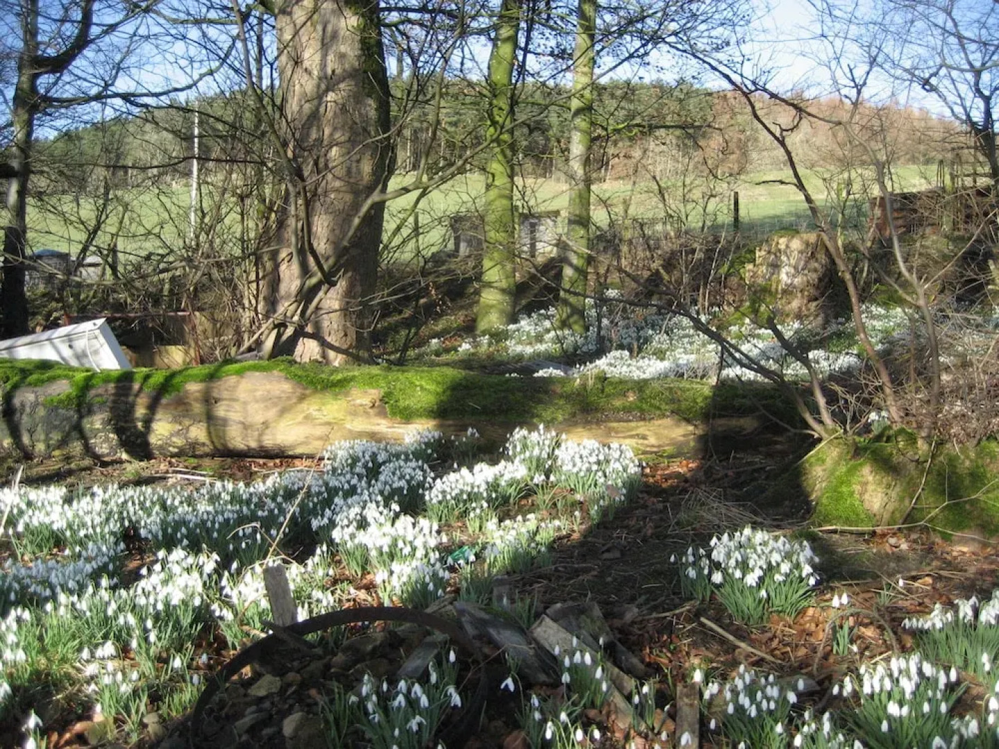 Whitchester Christian Guest House