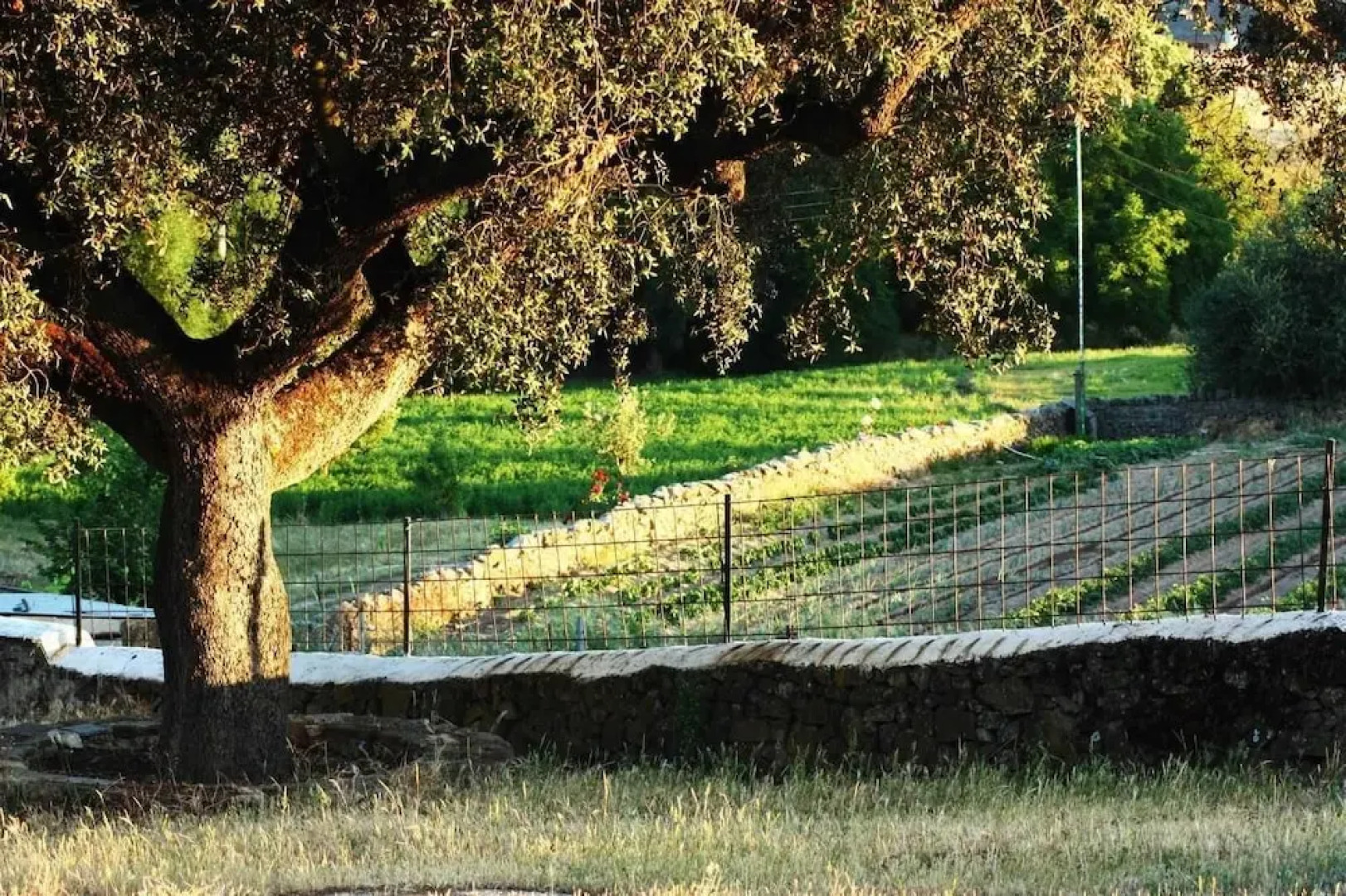 Casa Rural La Zafrilla