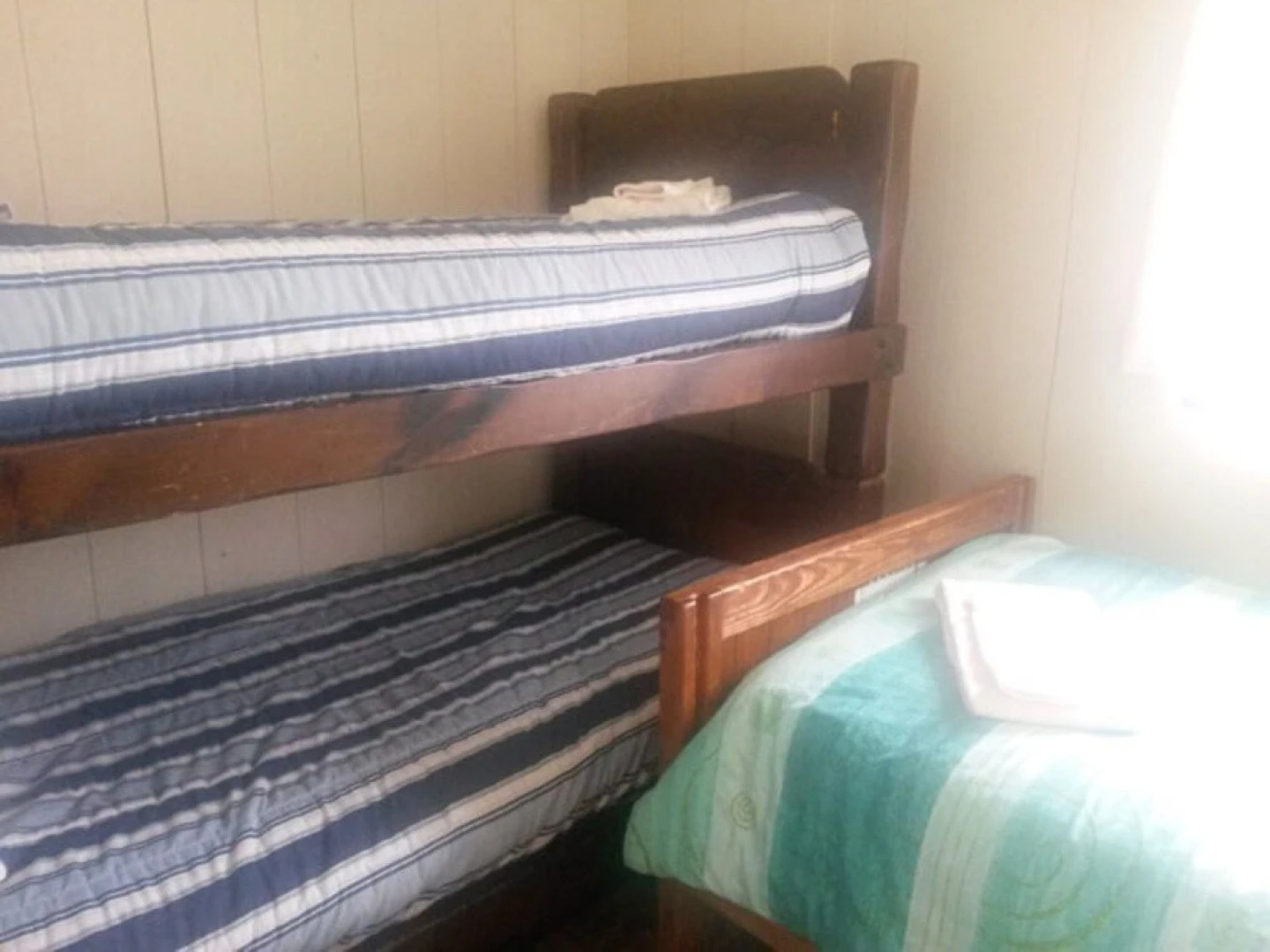 Celtic Cove Main Cabin