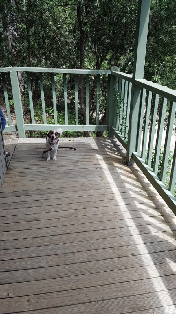 Gold Rush Colony Cabins